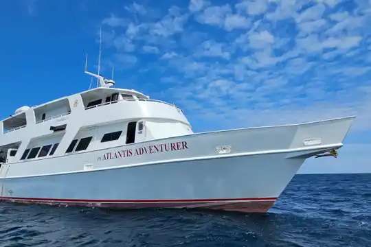 Atlantis Adventurer - Tubbataha Reef Liveaboard Trip