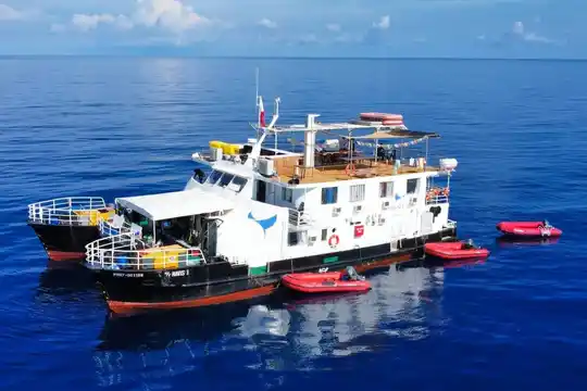 Navis 1 - Apo Reef Safari Liveaboard Trip