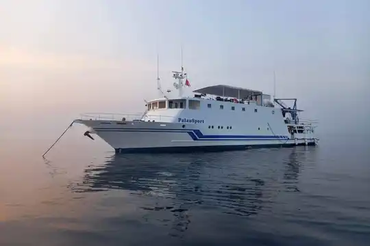 Palau Sport - Tubbataha Liveaboard Trip