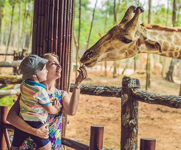 Busuanga Calauit Safari Tour