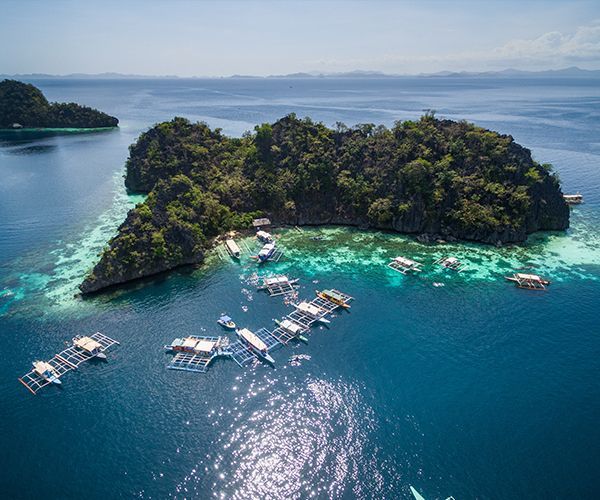 Coron Reef & Wreck Tour D