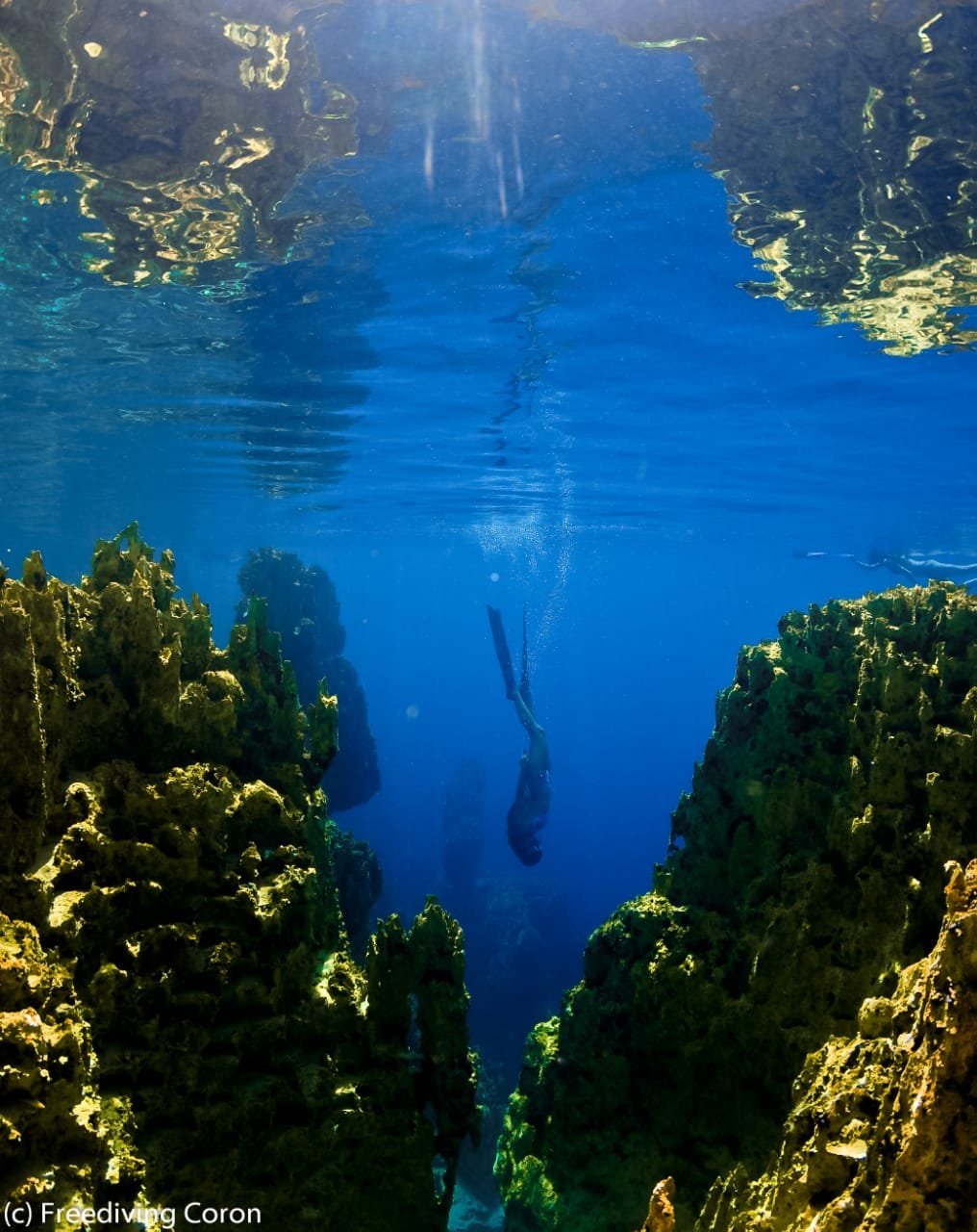 Discover Freediving | 1 Day in Coron's Private Lagoon