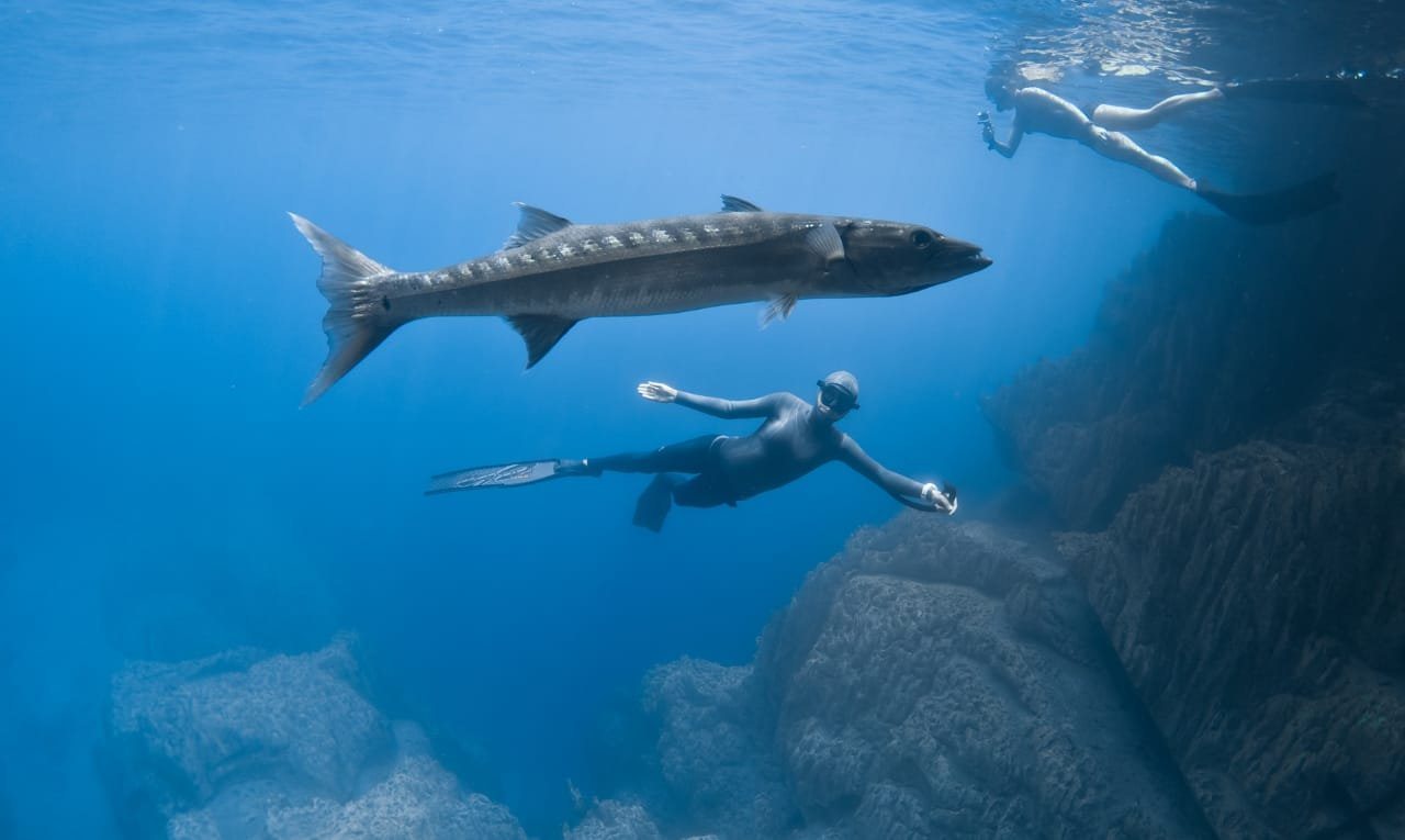 Freediver Course | 2 Days in Coron, Palawan