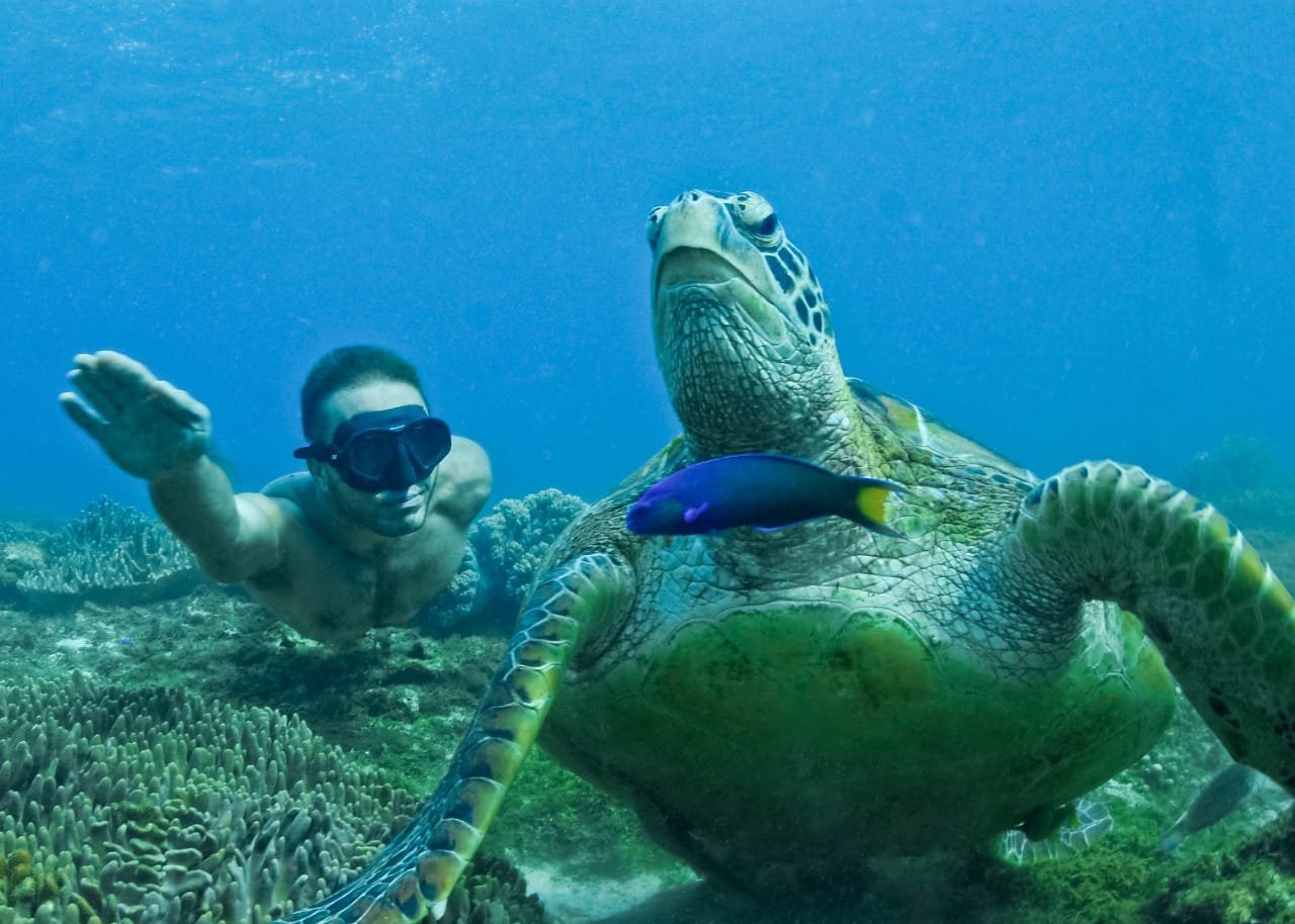 Freediving Fun Dives | 2-Hour Guided or Coached Session