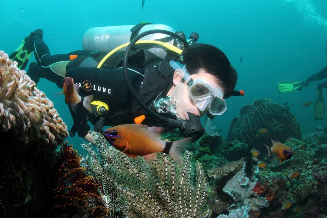 Discover Scuba Diving Day | No Certification Needed