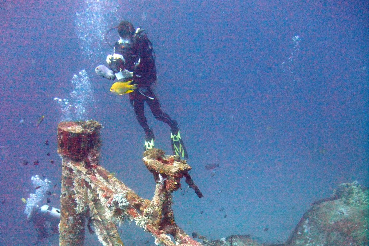 PADI Wreck Diver Specialty Course | 4 Shipwreck Dives