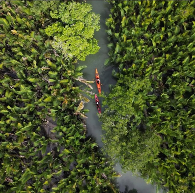 River Reboot - Abatan River, Bohol