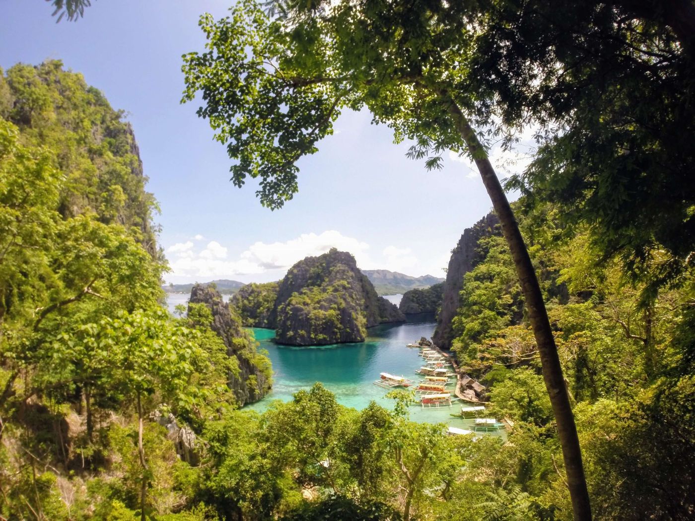 Cruise & Kayak Coron | Banca or Catamaran