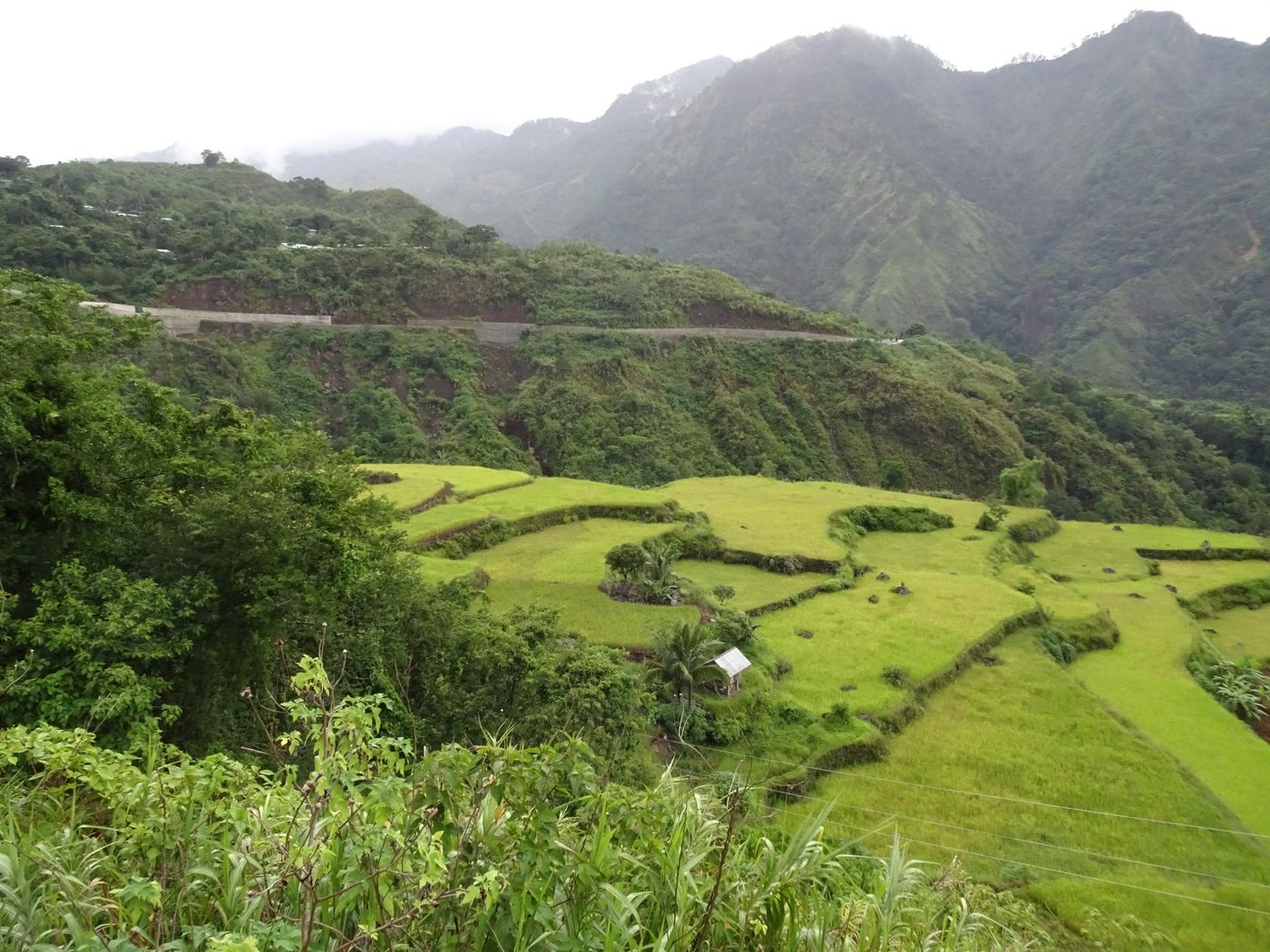 Tattoos and Terraces | 7-Day Group Adventure