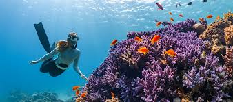 Coron boat trip reef and wrecks tour